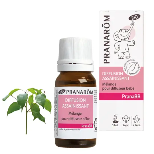 PranaBB Mischung Reinigend 10 Milliliter