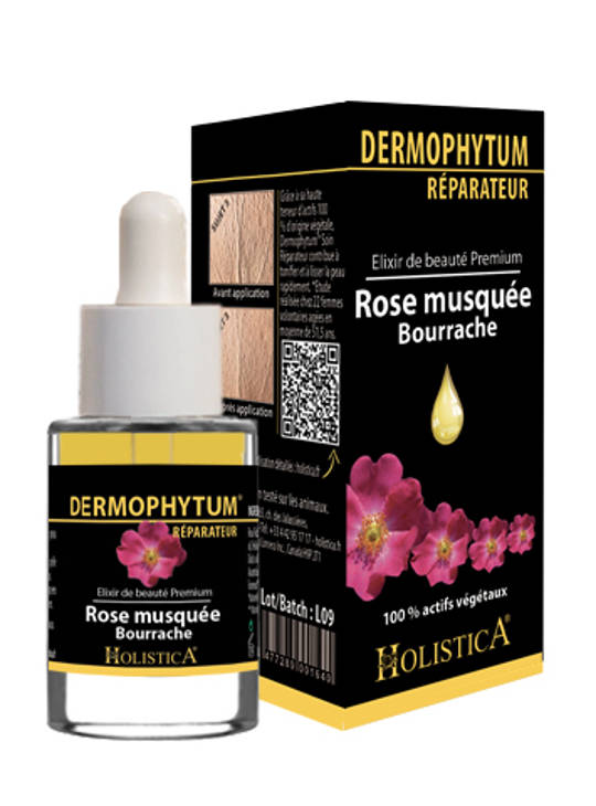 Holistic_Dermophytum15ml