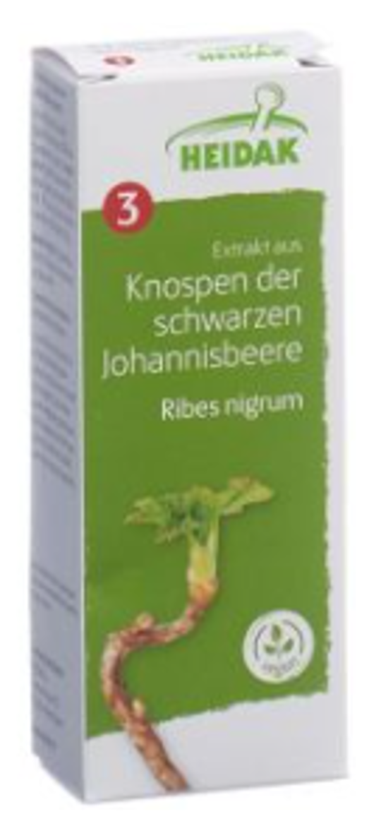 Knosp Johannisbeere Ribes nig. Glyc Maz 250 Milliliter
