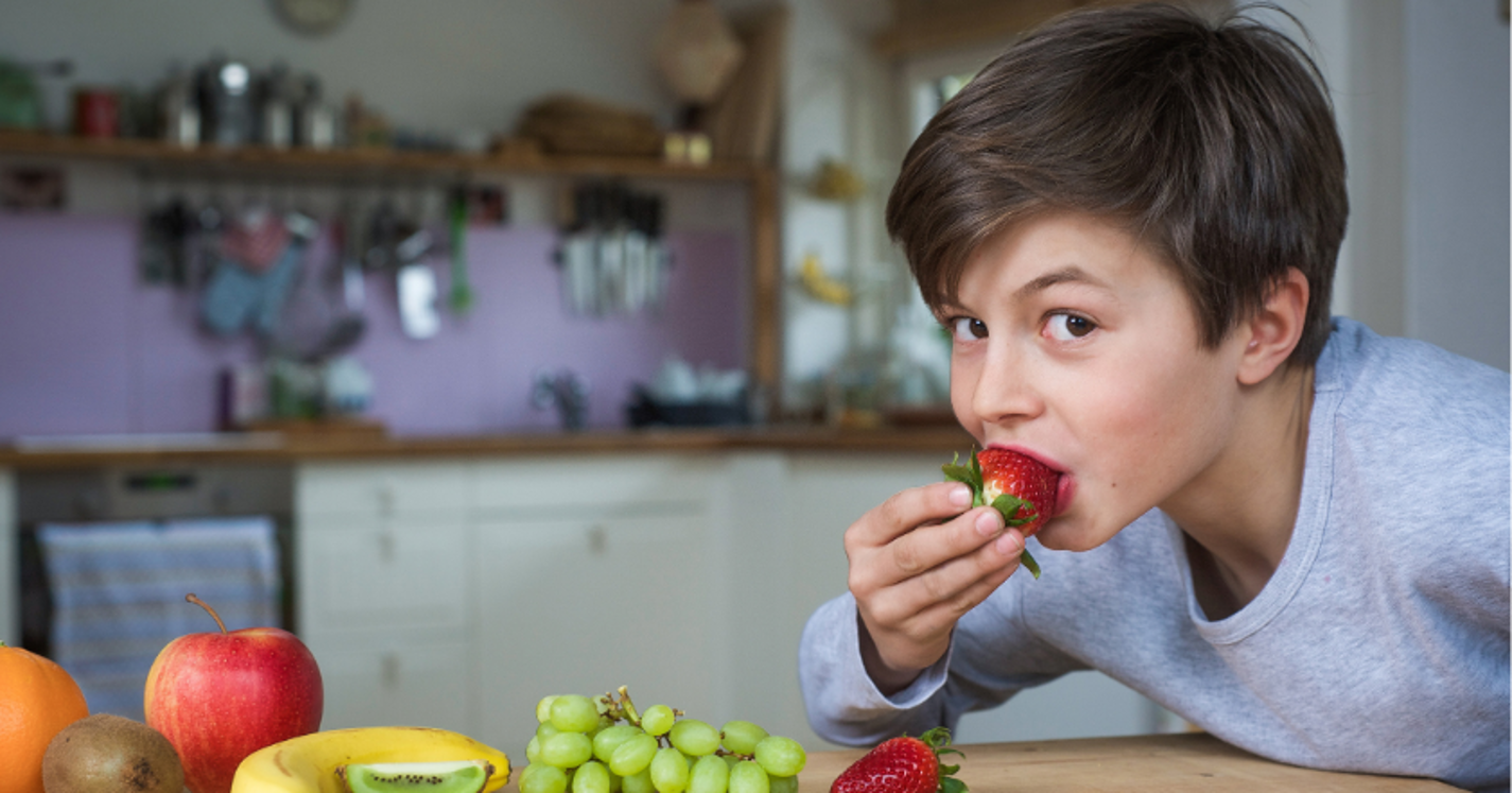 Webinar (Aufzeichnung) optimale Kinderernährung im Alltag 